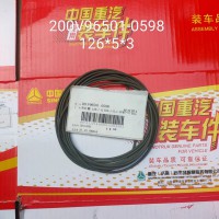 200v95601-0598  密封圈