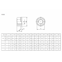 车轮防松螺母Q300图2