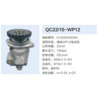 濰柴WP12發(fā)動(dòng)機(jī)齒輪泵助力泵液壓泵動(dòng)力轉(zhuǎn)向泵