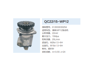 612630030294,转向助力泵,济南泉达汽配有限公司