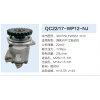 徐工重卡濰柴WP12發(fā)動(dòng)機(jī)齒輪泵助力泵液壓泵動(dòng)力轉(zhuǎn)向泵