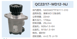NXG3407TFW111-010,转向助力泵,济南泉达汽配有限公司