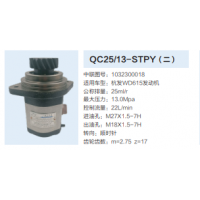 杭发WD615发动机转向齿轮泵助力泵液压泵动力转向泵