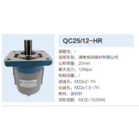 湖南恒润转向齿轮泵助力泵液压泵动力转向泵