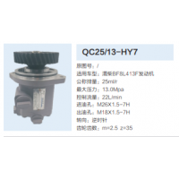 渭柴BF8L413F發(fā)動機轉向齒輪泵方向助力泵液壓泵