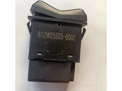 812W25503-6002   喇叭开关