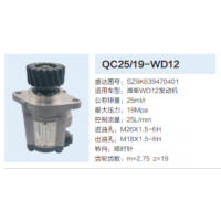 濰柴WD12發(fā)動機轉向齒輪泵動力轉向泵液壓泵助力泵