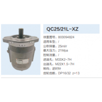 QC25/21L-XZ動力轉向泵方向助力泵液壓泵助力泵
