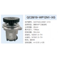 潍柴WP12发动机动力转向泵方向助力泵液压泵助力泵
