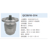 QC30/16-D14動力轉(zhuǎn)向泵方向助力泵液壓泵助力泵