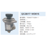 QC28/17-WD615動力轉向泵方向助力泵液壓泵助力泵