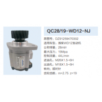 QC28/19-WD12-NJ動力轉(zhuǎn)向泵方向助力泵液壓泵助力泵