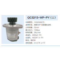 QC32/13-WP-PY动力转向泵方向助力泵液压泵助力泵
