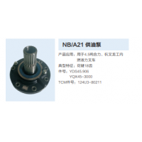 杭州叉车/合力叉车/龙工叉车/内燃液力叉车NB/A21供油泵