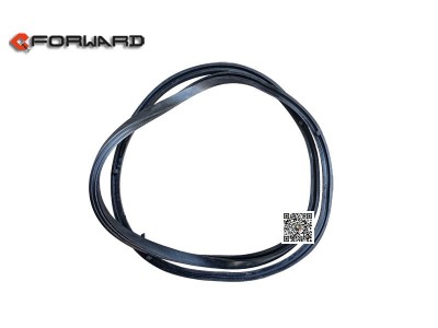 WD9725199825,Bottom seal strip,济南向前汽车配件有限公司
