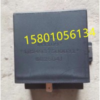 1B24937500031闪光器