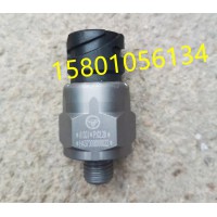 H437300000022氣壓低報(bào)警開關(guān)