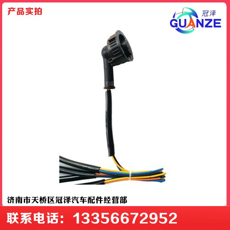 ,陕汽德龙F3000老款里程表传感器线束插头,济南冠泽卡车配件营销中心