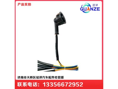 ,陕汽德龙F3000老款里程表传感器线束插头,济南冠泽卡车配件营销中心