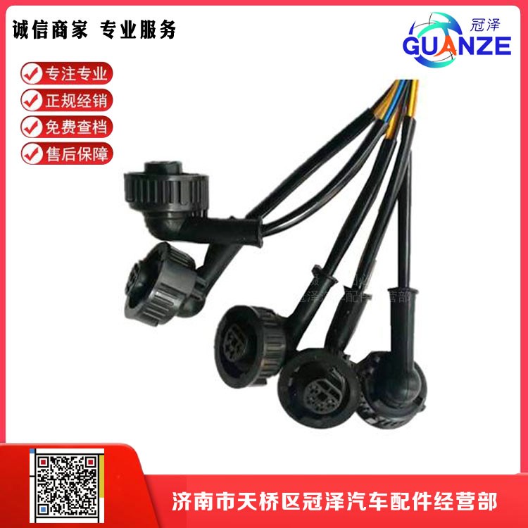 ,陕汽德龙F3000老款里程表传感器线束插头,济南冠泽卡车配件营销中心