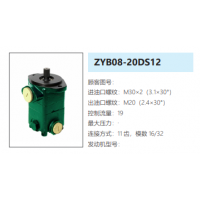 ZYB08-20DS12方向助力泵动力转向油泵液压泵
