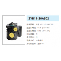 ZYB11-20AS02玉柴6M发动机方向助力泵动力转向油泵液压泵