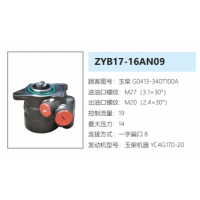 ZYB17-16AN09玉柴發(fā)動機方向助力泵轉向油泵液壓泵