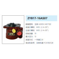 ZYB17-16AS07玉柴发动机方向助力泵转向油泵液压泵
