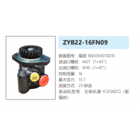 ZYB22-16FN09玉柴發(fā)動(dòng)機(jī)轉(zhuǎn)向泵方向助力泵液壓油泵