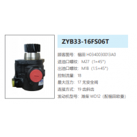 ZYB33-16FS06T福田歐曼轉(zhuǎn)向油泵助力泵液壓油泵