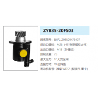 ZYB35-20FS03陕汽德龙转向泵助力泵液压油泵动力泵