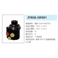 ZYB38-20FS01福田歐曼轉(zhuǎn)向泵助力泵液壓油泵動(dòng)力泵