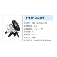 ZYB40-08GS06諸城福田歐曼轉(zhuǎn)向泵助力泵液壓油泵動(dòng)力泵