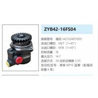 ZYB42-16FS04福田歐曼轉(zhuǎn)向泵助力泵液壓油泵動(dòng)力泵