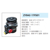 ZYB42-17FS01蘇州金龍客車轉(zhuǎn)向泵助力泵液壓油泵動(dòng)力泵