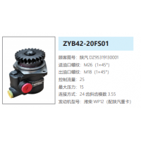 ZYB42-20FS01陜汽德龍轉(zhuǎn)向泵助力泵液壓油泵動(dòng)力泵