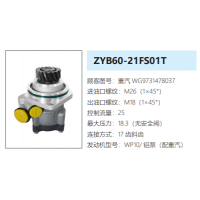 ZYB60-21FS01T重汽國(guó)三大泵發(fā)動(dòng)機(jī)轉(zhuǎn)向泵助力泵液壓油泵轉(zhuǎn)子泵