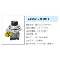 ZYB60-21FS01T重汽國(guó)三大泵發(fā)動(dòng)機(jī)轉(zhuǎn)向泵助力泵液壓油泵轉(zhuǎn)子泵