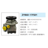ZYB60-17FS01福田歐曼轉(zhuǎn)向泵助力泵液壓油泵轉(zhuǎn)子泵