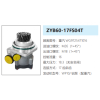 ZYB60-17FS04T重汽國(guó)三大泵發(fā)動(dòng)機(jī)轉(zhuǎn)向泵助力泵液壓油泵轉(zhuǎn)子泵