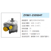 ZYB61-25DS04T陜汽德龍轉(zhuǎn)向泵助力泵液壓油泵轉(zhuǎn)子泵
