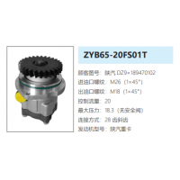 ZYB65-20FS01T陜汽德龍轉向助力泵轉向油泵轉子泵動力泵