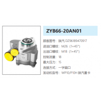 ZYB66-20AN01陜汽德龍WP10H發動機轉向助力泵轉向油泵轉子泵動力泵