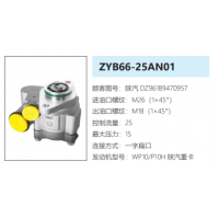 ZYB66-25AN01陜汽德龍P10H發動機轉向助力泵轉向油泵轉子泵動力泵