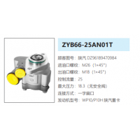 ZYB66-25AN01T陜汽德龍P10H發(fā)動(dòng)機(jī)轉(zhuǎn)向助力泵轉(zhuǎn)向油泵轉(zhuǎn)子泵動(dòng)力泵