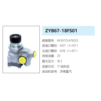 ZYB67-16FS01重汽豪沃博世共軌D10轉向助力泵轉向油泵轉子泵動力泵