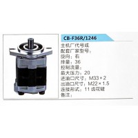 轉(zhuǎn)向助力泵，助力泵，液壓泵，葉片泵CB-F36R-1246