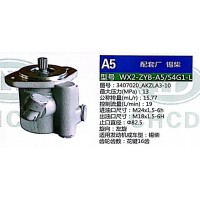 轉(zhuǎn)向助力泵，助力泵，液壓泵，葉片泵WX2-ZYB-A5-54G1-L，3407020-AKZLA3-10