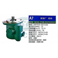 转向助力泵，助力泵，液压泵，叶片泵WX6-ZYB-D5-51G1-L，3407020-420-XJ10