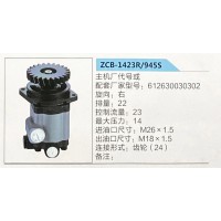 轉(zhuǎn)向助力泵，助力泵，液壓泵，葉片泵ZCB-1423R-945S，612630030302